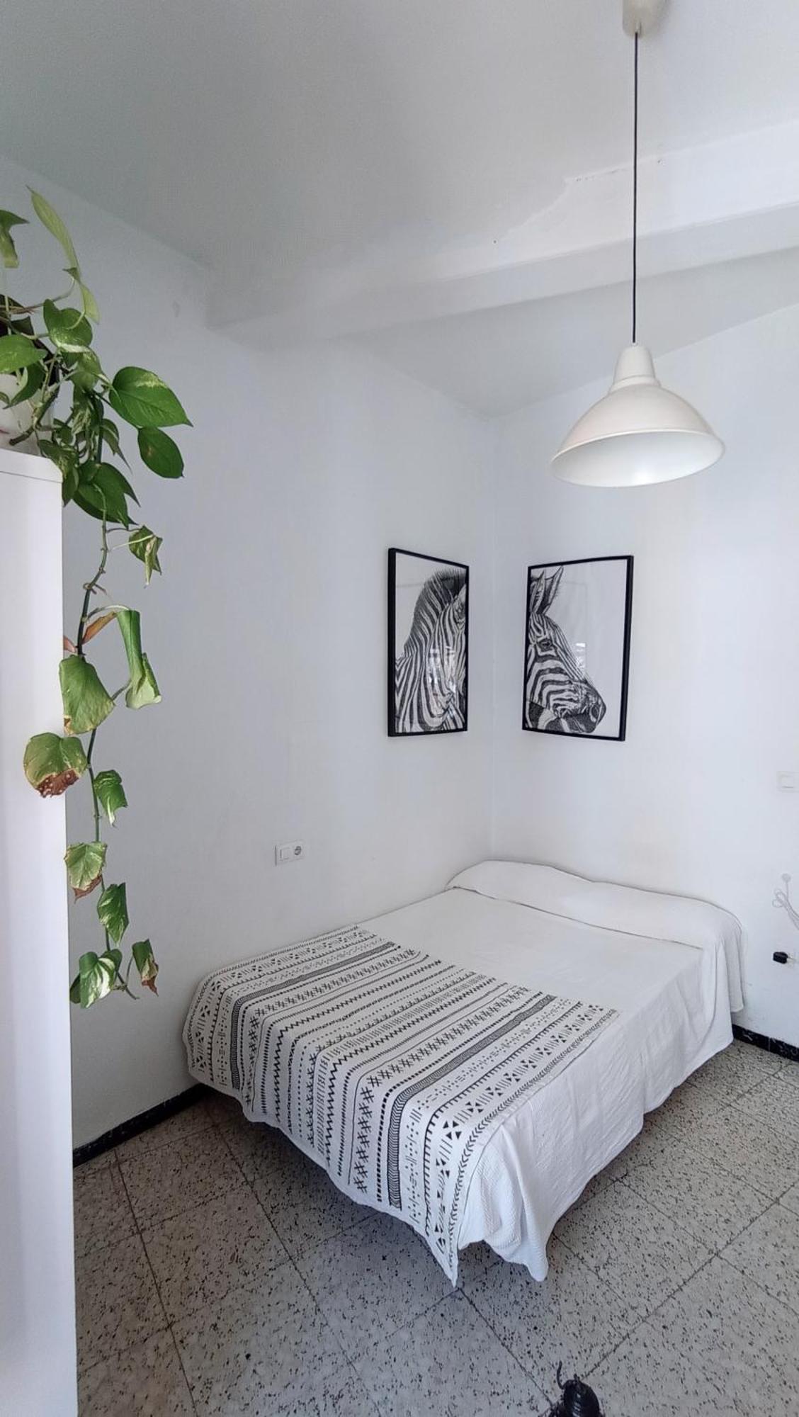 Preciosa Habitacion En Pleno Centro De Sevilla Ideal Para Hacer Turismo Y Vivir La Ciudad Екстериор снимка